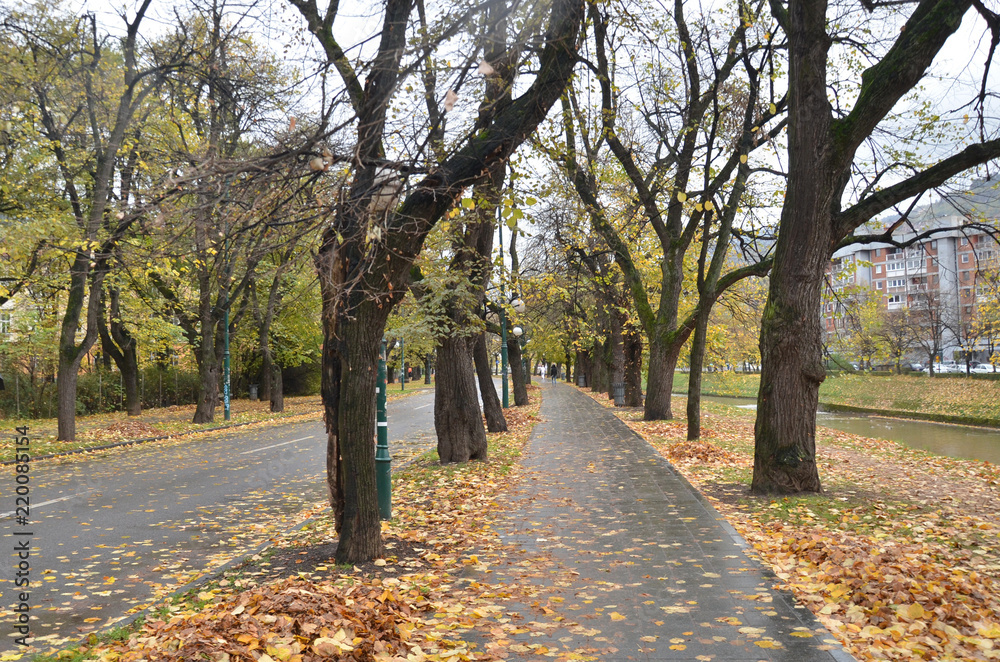 Beautiful Autumn path at Sarajevo.