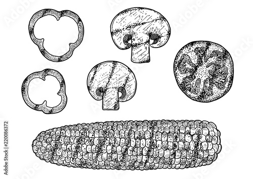 Grilled vegetables illustration, drawing, engraving, ink, line art, vector