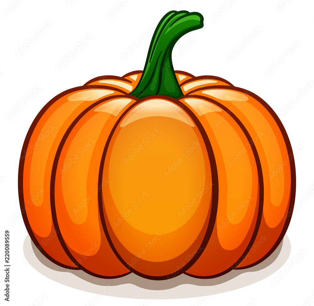 Vector pumpkin on white background