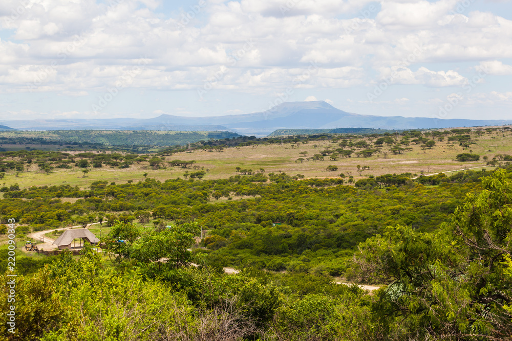 Bushland and open fields near Ladismith, KZN, South Africa.