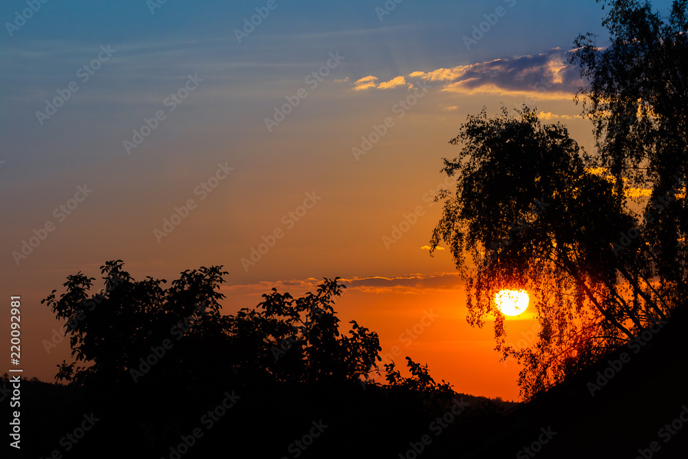 Sunrise behind the big tree with silhouettes, orange and blue sky with small clouds