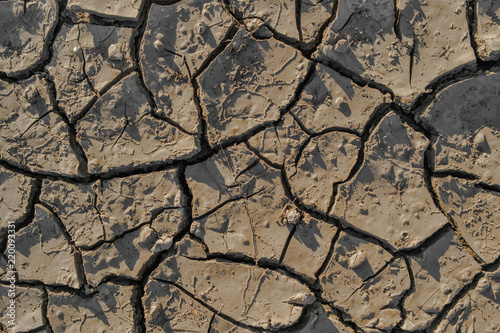 Dry cracked soil texture and background. Grunge soil background. Abstract ground. Natural abstraction. Cracked soil background