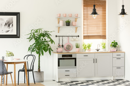 Pink accessories in grey kitchen interior with plant next to chairs and dining table. Real photo photo
