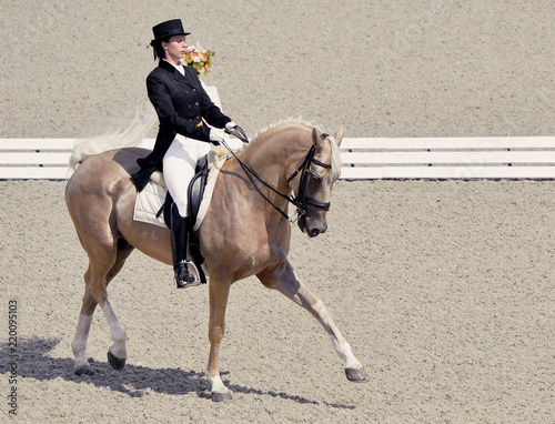 Young elegant rider woman and isabelline horse. Beautiful girl at advanced dressage test on equestrian competition. Professional female horse rider, equine theme.  photo