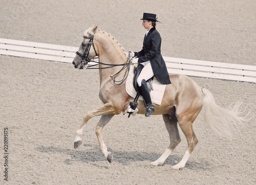 Young elegant rider woman and isabelline horse. Beautiful girl at advanced dressage test on equestrian competition. Professional female horse rider, equine theme. 