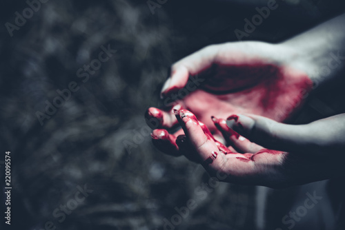 Close up of bloody hands in dark forest background. Horror and ghost concept. Criminal and murder concept. Halloween day and sacrifice theme. People and religion theme. Open the palm of the hands. © Shutter2U