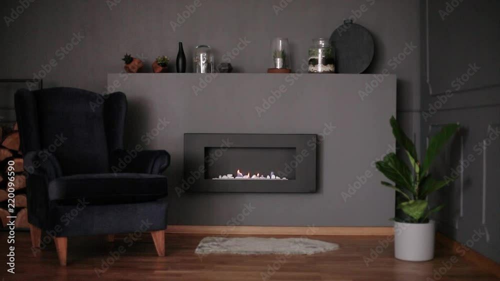 Video of dark living room interior with molding on wall, fresh plants, black armchair, eco fireplace and decor on shelf Video of dark living room interior with molding on wall, fresh plants, black armchair, eco fireplace and decor on shelf
