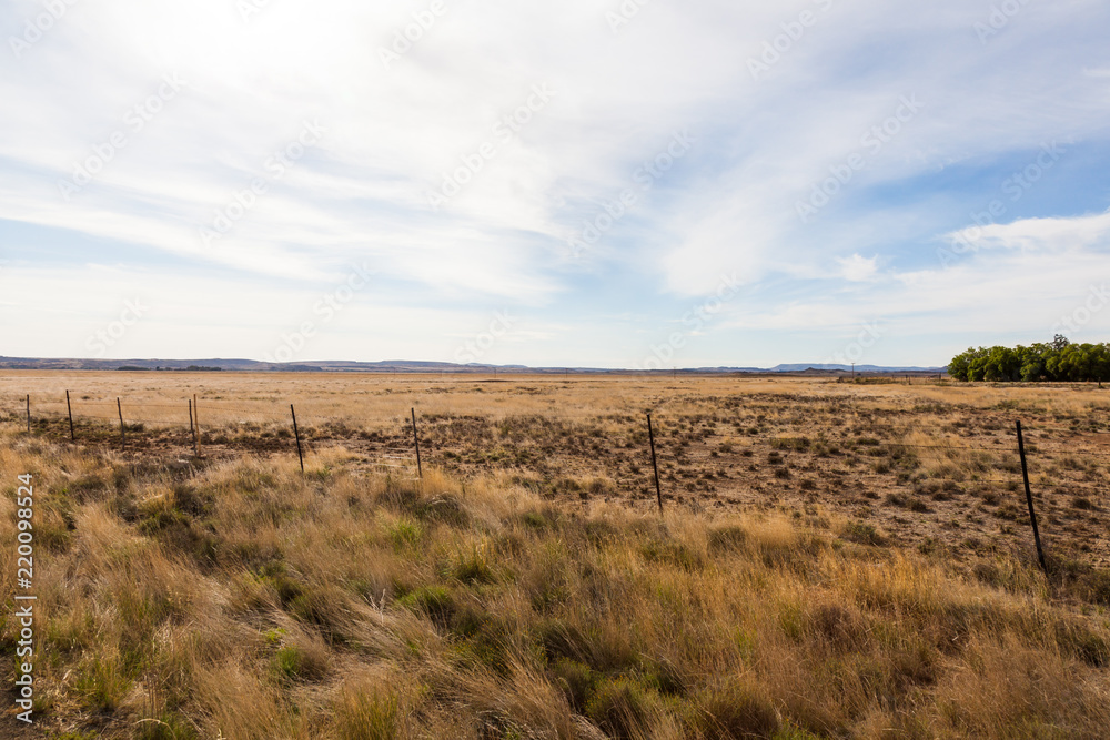 Dirt roads and fields of the Karoo near Gariep dam, South Africa.