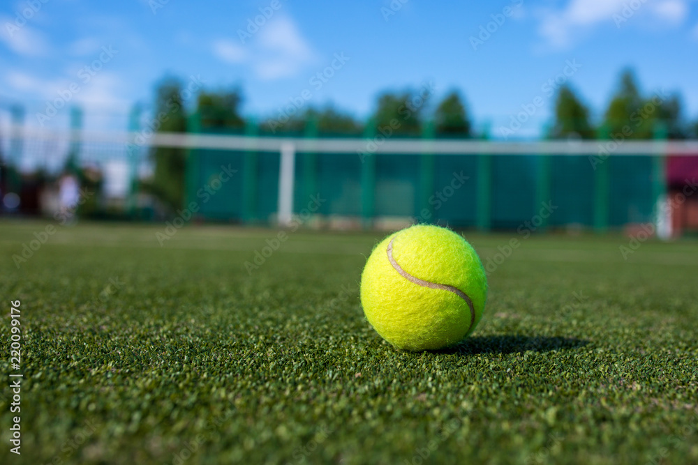 Tennis ball close-up on the grass court. Sunny summer day