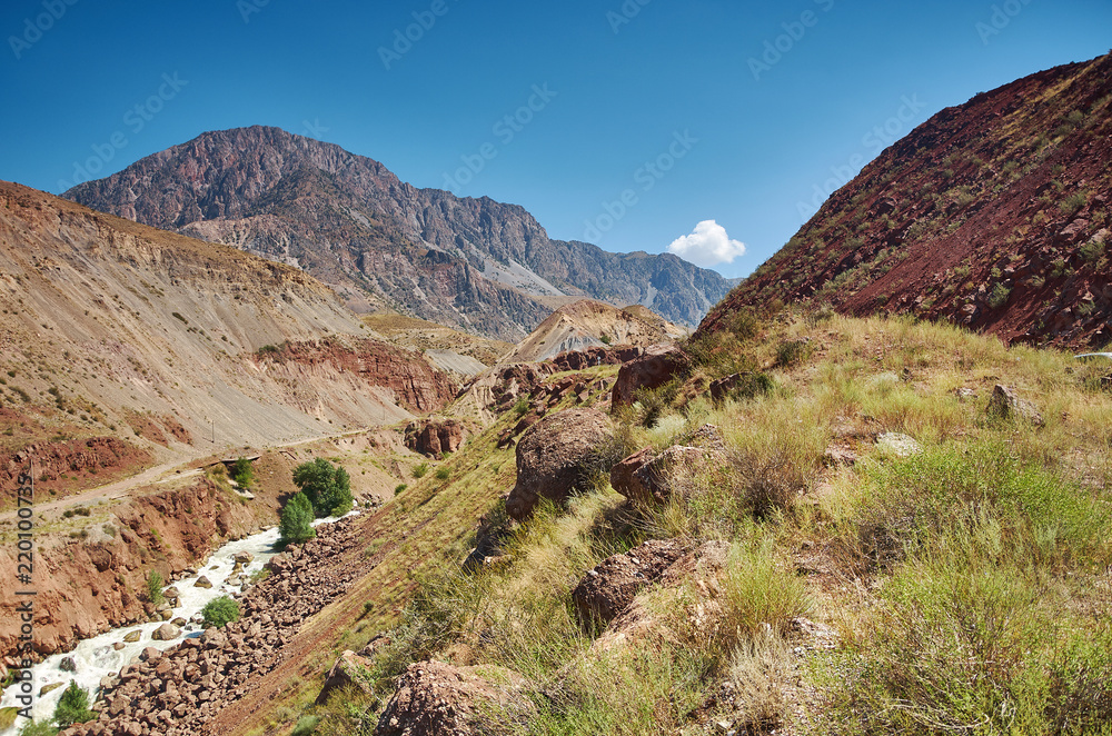 Fototapeta premium Naryn River