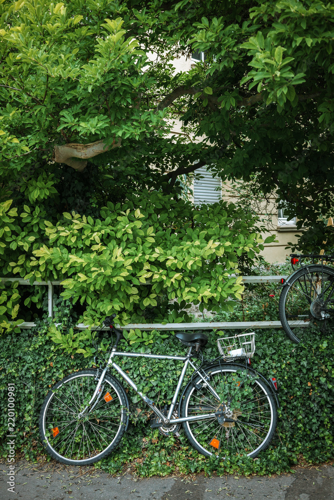 bicycles near fence and green trees in Wurzburg, Germany