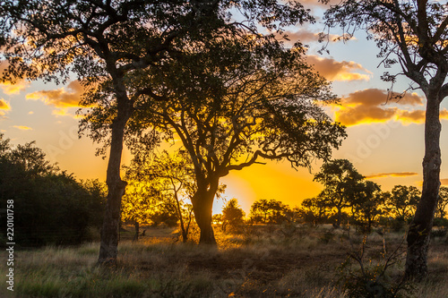 Sunset over the Kruger park, South Africa