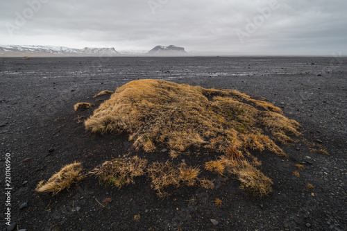 Solheimasandur Plane Wreck, Iceland photo