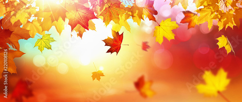 Fototapeta piękny jesień wzór