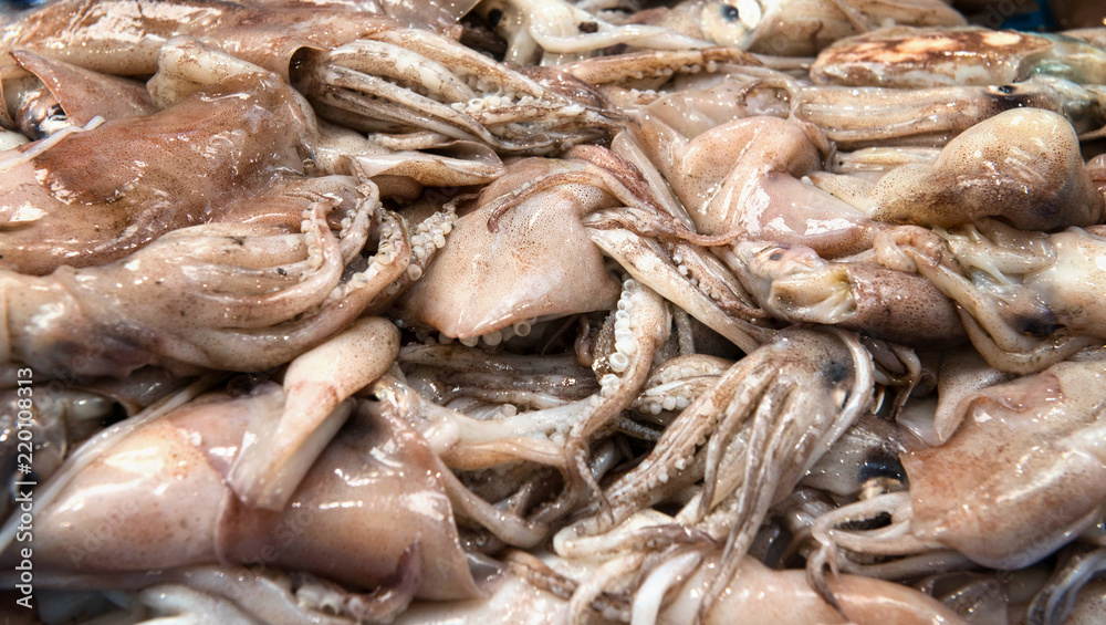 Fresh seafood - raw fresh octopus or squids at the market.