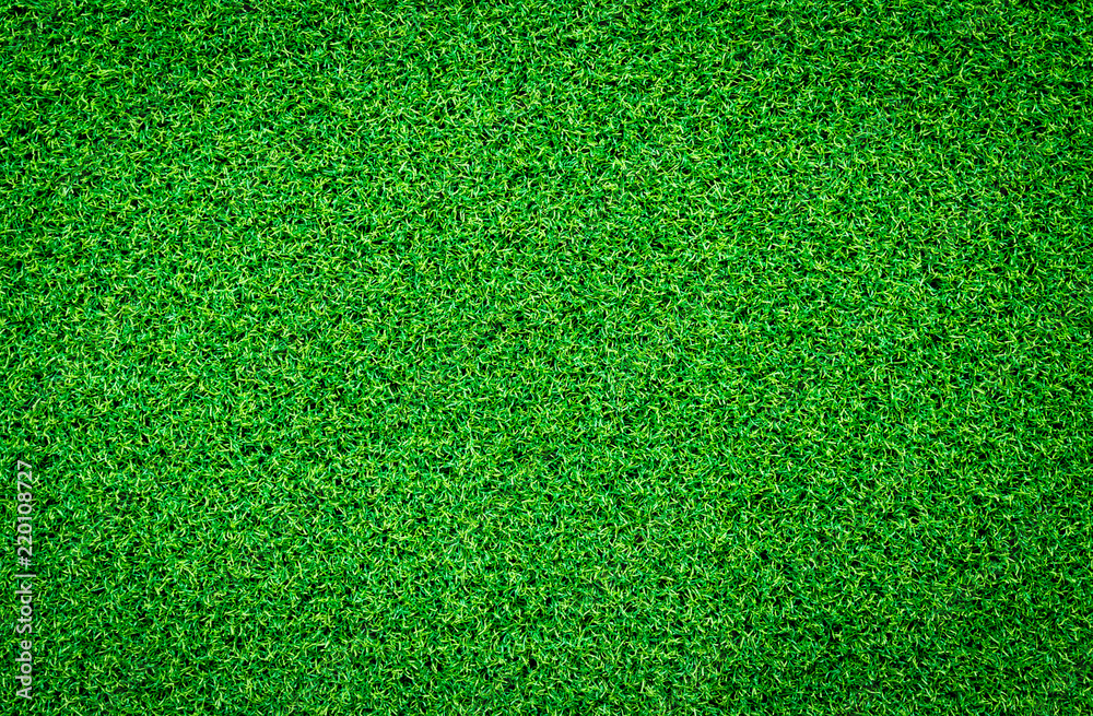Obraz premium Green grass background Keyword here