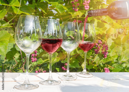 Pouring red wine into the glass. Four glasses of red wine on a white wooden table against a vineyard background in the sunlight. The concept of the festival of wine, wine tasting