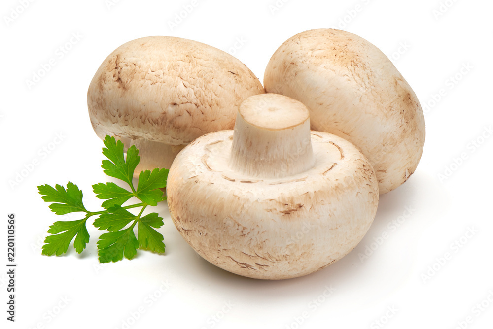 Champignons, close-up, isolated on white background.