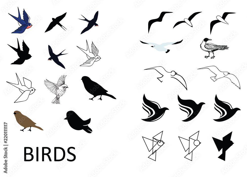 Obraz premium Set of vector birds