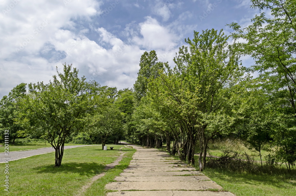 Wooden bench on main alley in the forest at natural old West park, Sofia, Bulgaria  