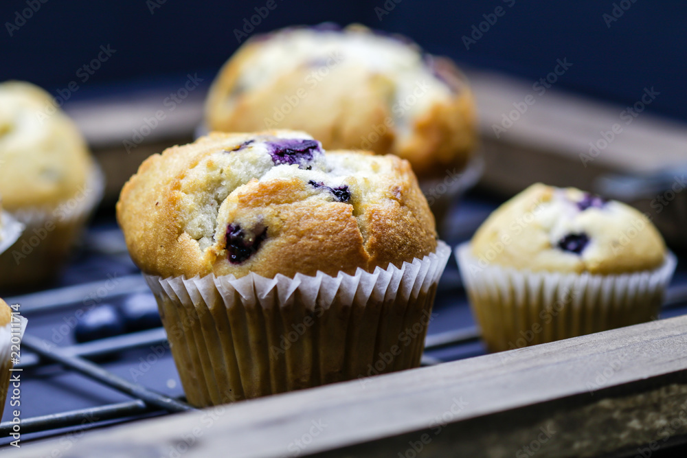 Blueberry Muffins Blueberry Muffins