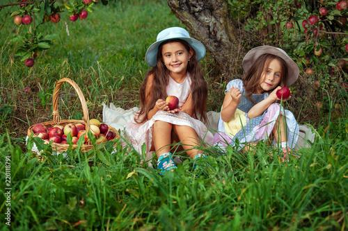girl two sisters harvest garden trees red pink hat basket picking apples green grass background © NataliAlba