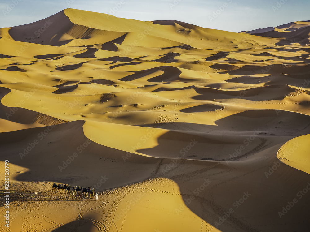 Picture perfect Sahara Desert in morning light