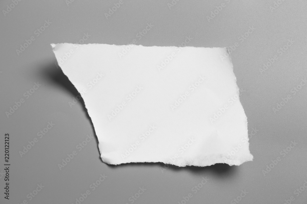 white torn paper on gray background. collection paper rip white torn paper on gray background. collection paper rip