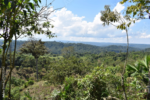 Valley in the Amazon Jungle in Ecuador