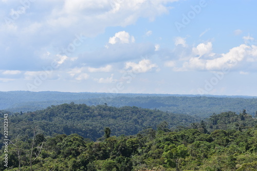Valley in the Amazon Jungle in Ecuador