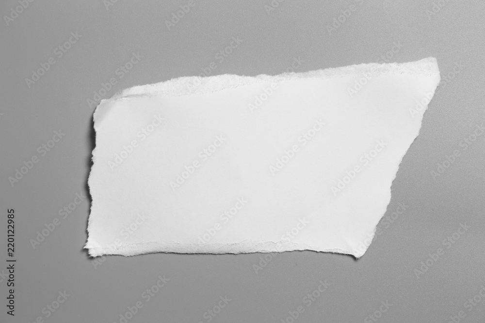 white torn paper on gray background. collection paper rip white torn paper on gray background. collection paper rip