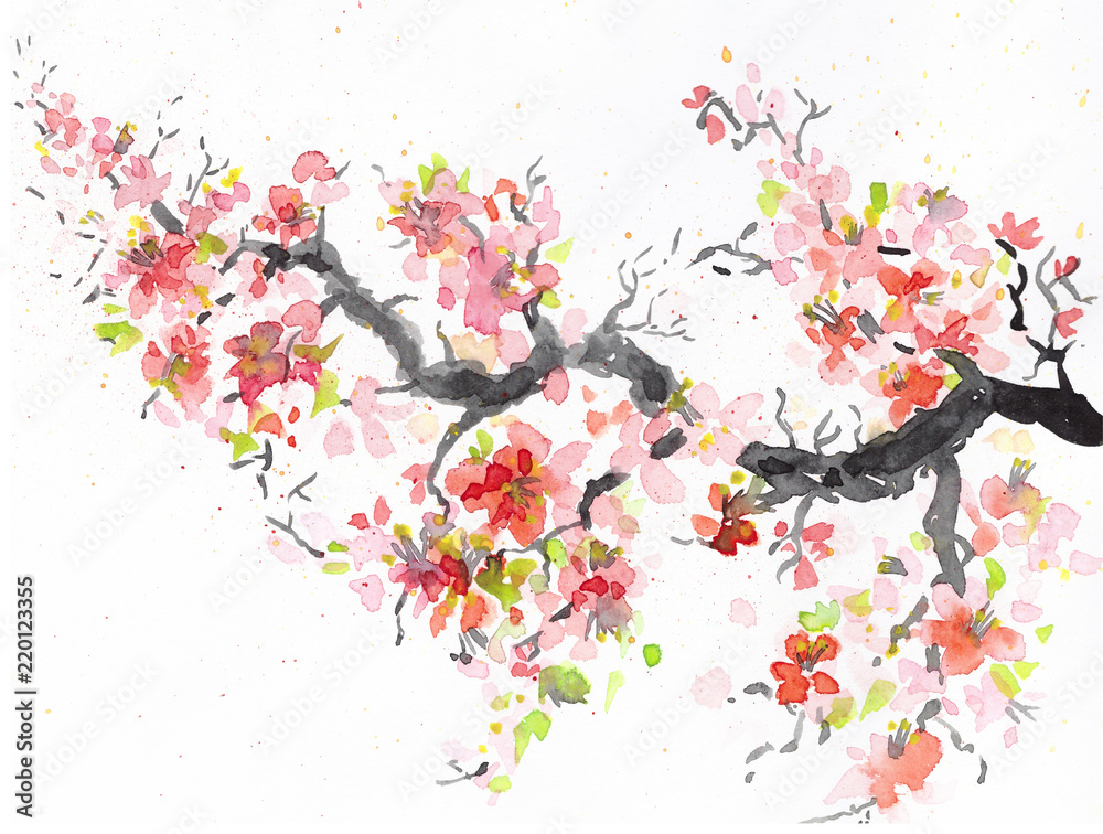 Naklejka premium sakura branch with blooming Japanese cherry. watercolor illustration