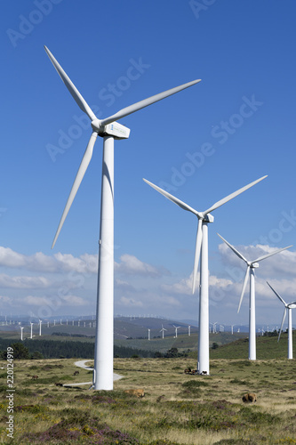 Wallpaper Mural Wind turbines on a wind farm in Galicia Torontodigital.ca