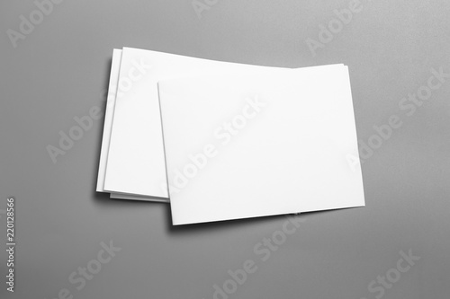 Blank portrait mock-up paper. brochure magazine isolated on gray, changeable background / white paper isolated on gray © ooddysmile