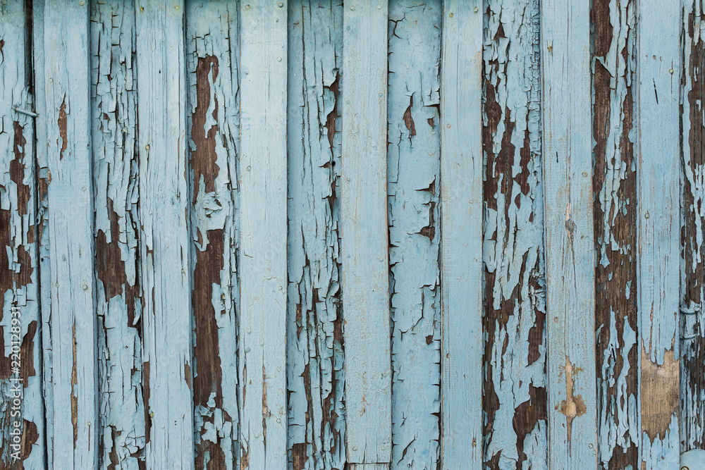 old wooden door with peeling and cracked white paint old wooden door with peeling and cracked white paint