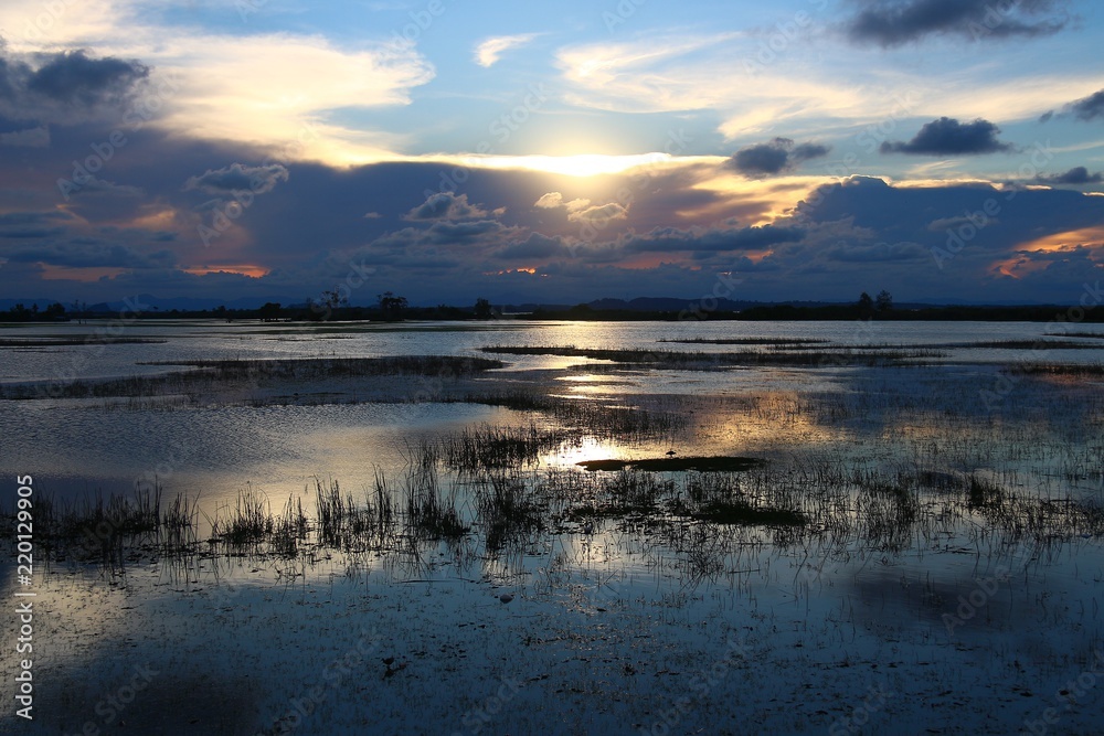 Fototapeta premium Sunset and cloudy sky over the shallow part of the lake with shadow of the grass and reflection of the water