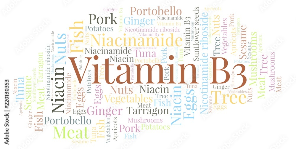 Vitamin B3 word cloud.