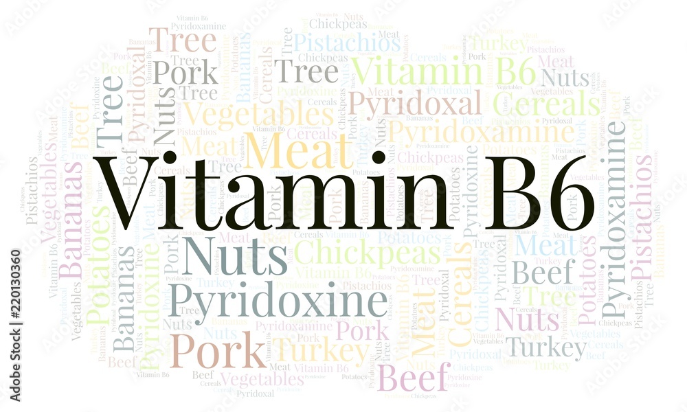 Fototapeta premium Vitamin B6 word cloud.