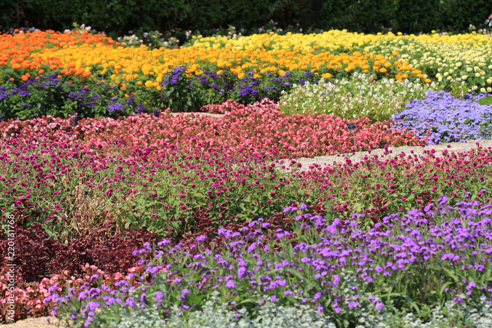 Цветочная клумба в ботаническом саду г. Балчик (Болгария)