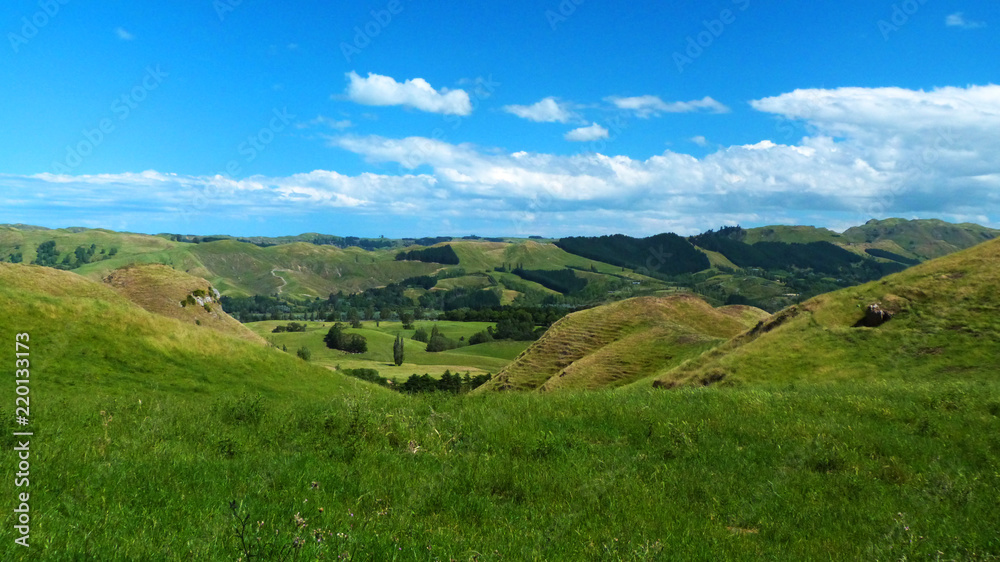 North Island landscape, New Zealand
