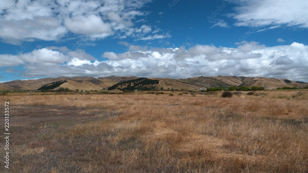 Dry landscape in the region of Marlborough near Blenheim Dry landscape in the region of Marlborough near Blenheim