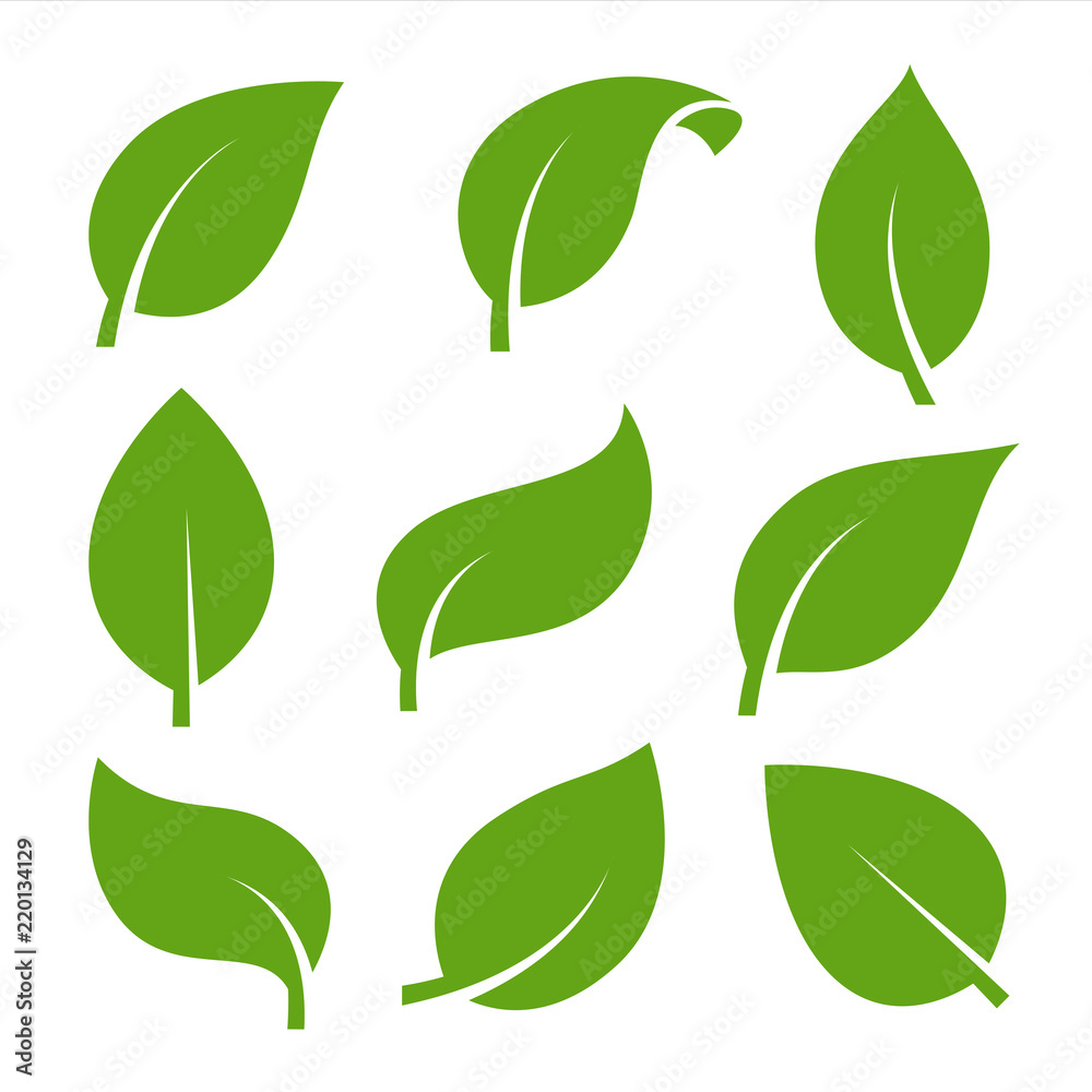 Eco green color leaf vector logo flat icon set. Isolated leaves shapes on white background. Bio plant and tree floral forest concept design. - obrazy, fototapety, plakaty 