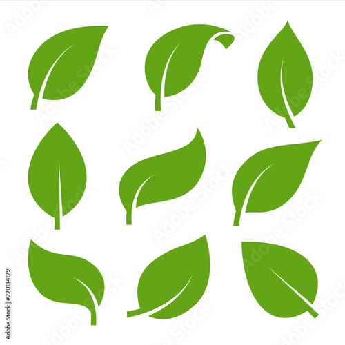 Eco green color leaf vector logo flat icon set. Isolated leaves shapes on white background. Bio plant and tree floral forest concept design.