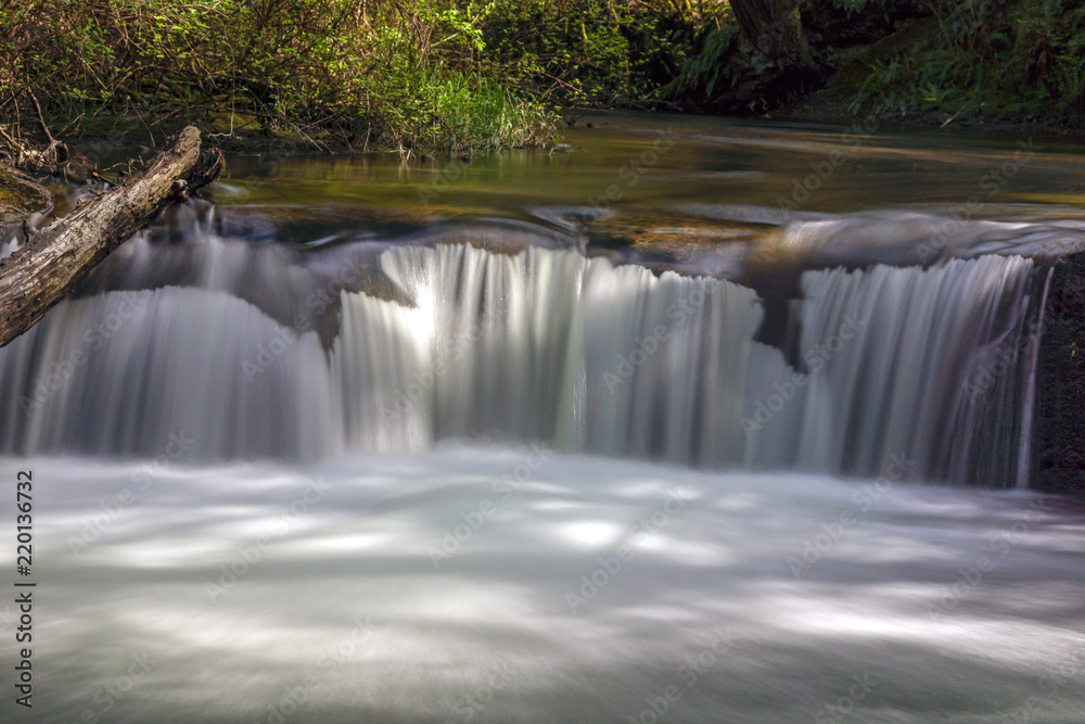 Obraz premium Whatcom Falls