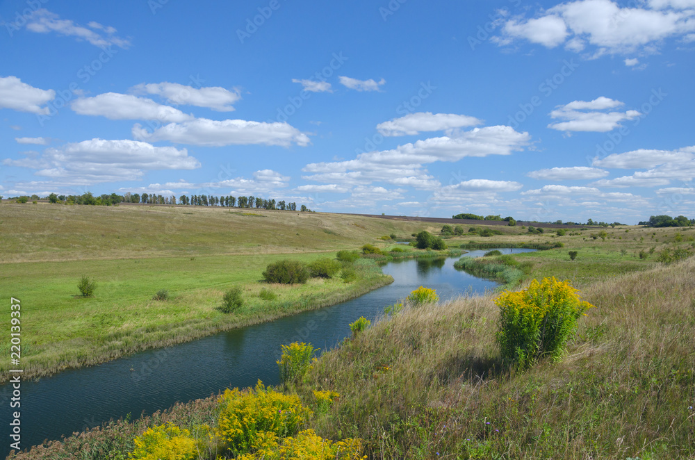 Sunny summer landscape with river curve and growing on the riverbank yellow blooming flowers of solidago virgaurea(european goldenrod or woundwort)