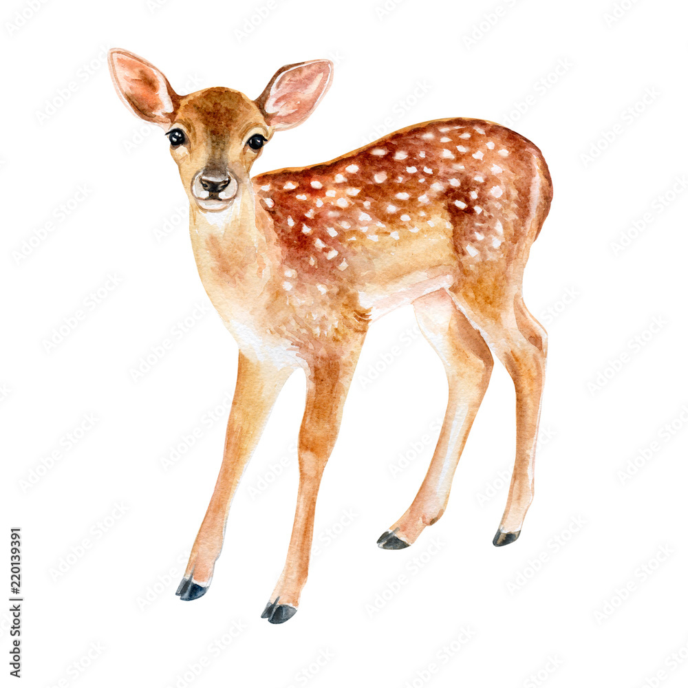 Spotted fawn on white background. Deer. Watercolor. Illustration. Template. Handmade. Image. Picture Spotted fawn on white background. Deer. Watercolor. Illustration. Template. Handmade. Image. Picture