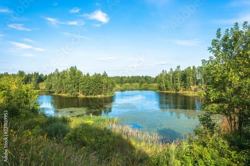 Fototapeta Naklejka Na Ścianę i Meble -  Landscape with a small lake on a summer day.
