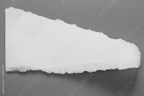 white torn paper on gray background. collection paper rip © ooddysmile