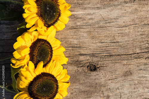 Fototapeta Naklejka Na Ścianę i Meble -  Decorative sunflowers on the wooden background