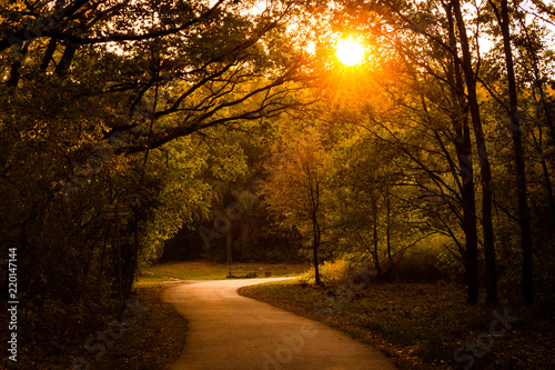 Curvy asphalt road in the forest with golden light beams and sun behind the trees